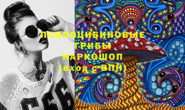 бошки Абаза