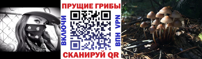 МЕГА ССЫЛКА  Тогучин  Псилоцибиновые грибы ЛСД 